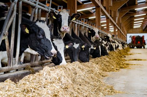 Foto: Bürokratieentlastung in der Landwirtschaft